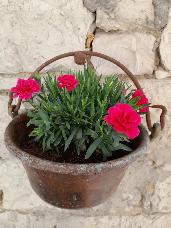 Soffranco Kalipe Dolomiti 아파트 외부 사진