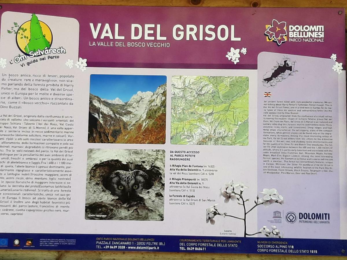 Soffranco Kalipe Dolomiti 아파트 외부 사진