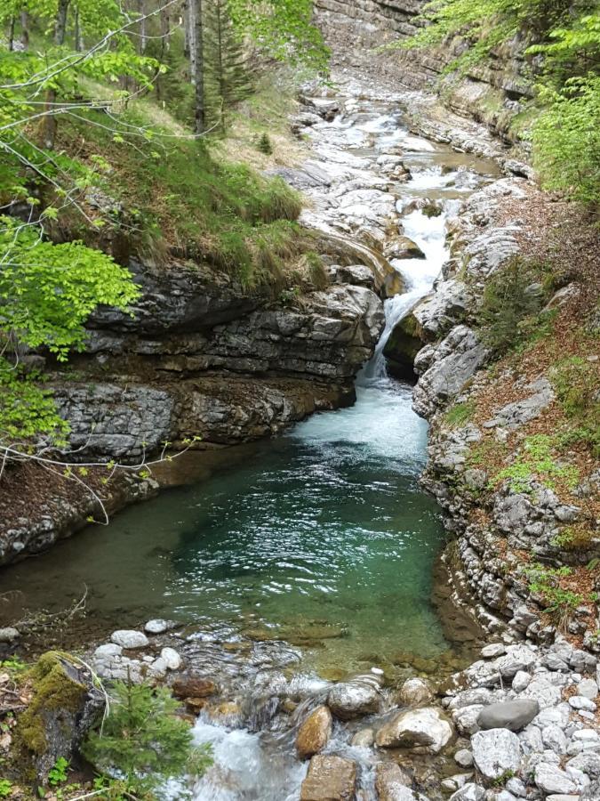 Soffranco Kalipe Dolomiti 아파트 외부 사진