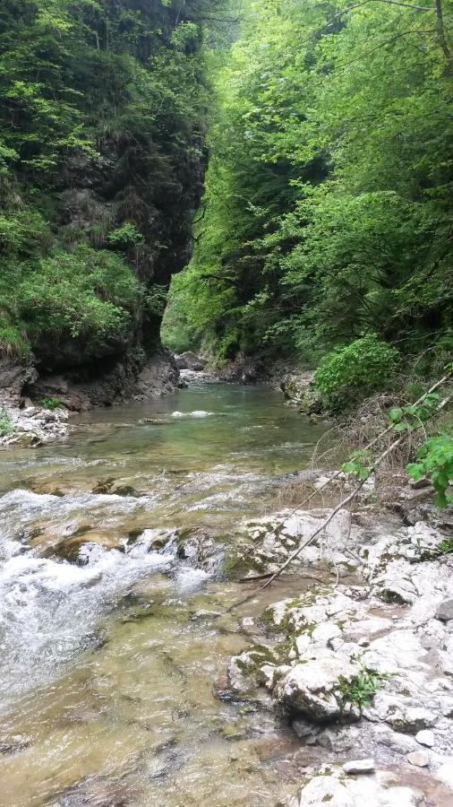 Soffranco Kalipe Dolomiti 아파트 외부 사진