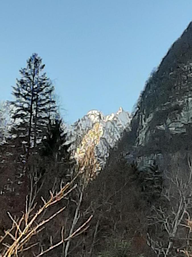 Soffranco Kalipe Dolomiti 아파트 외부 사진